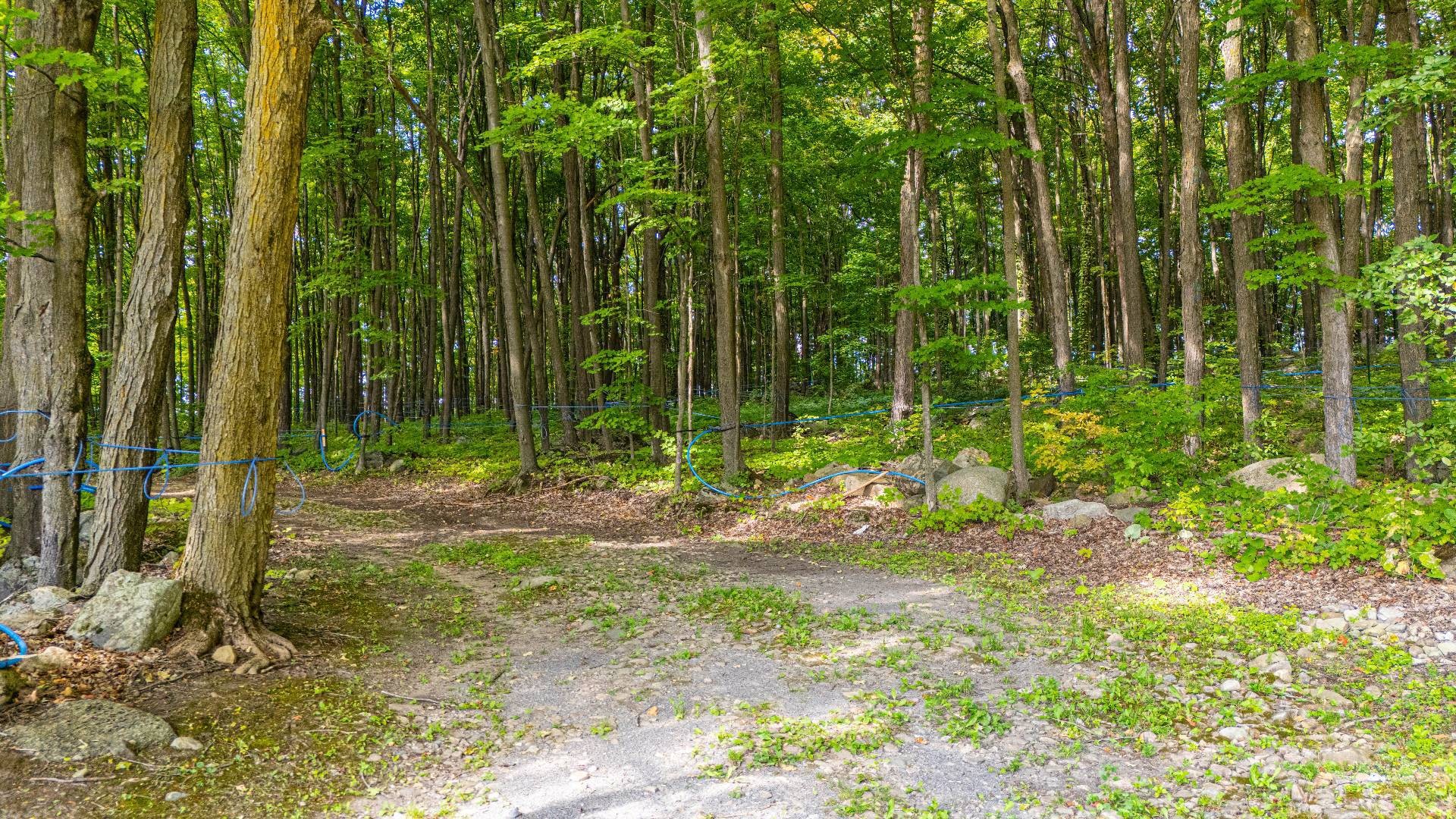 












Route Principale

,
Très-Saint-Rédempteur,







QC
J0P1P1

