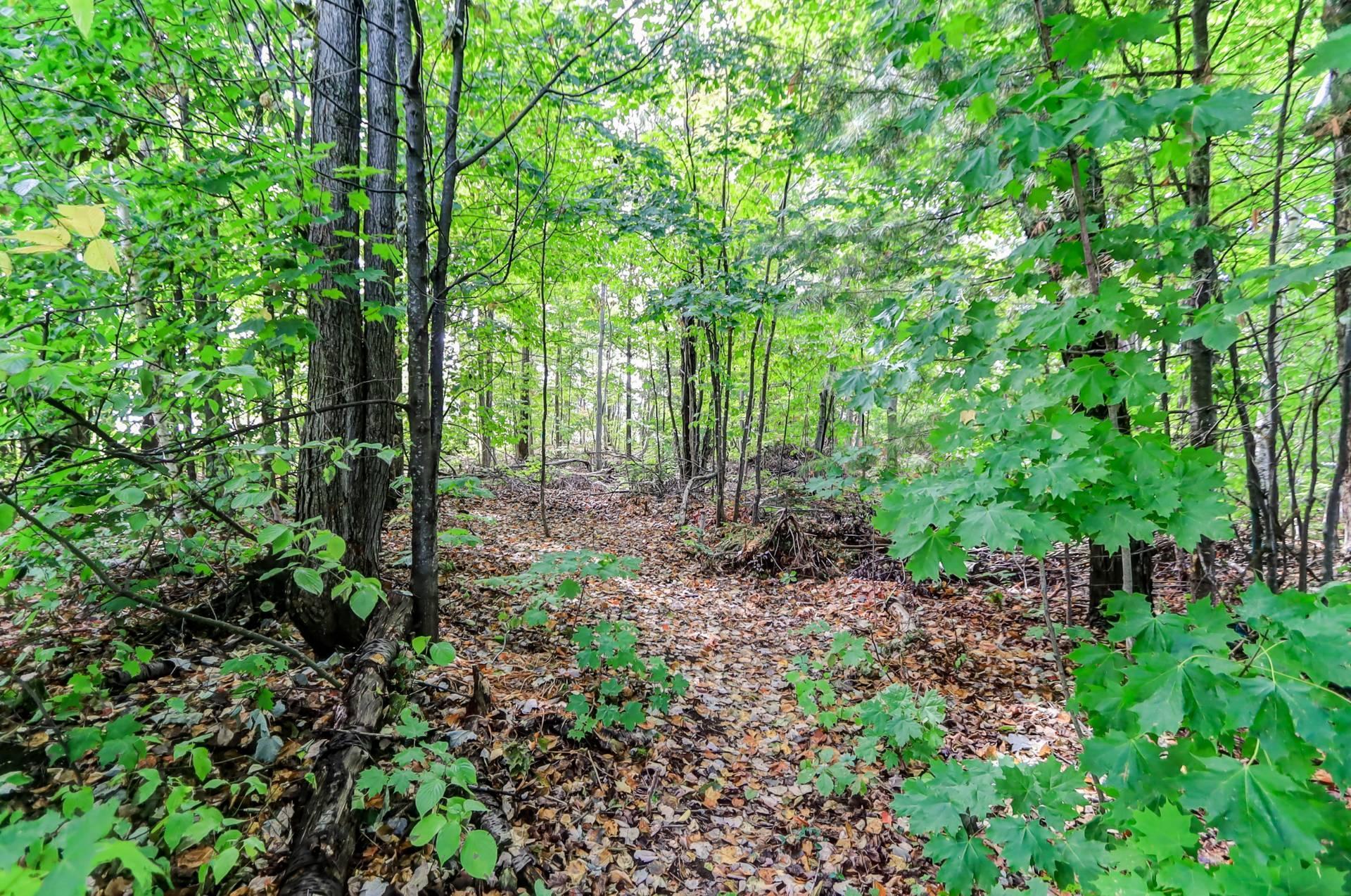 









1329


Boul. Maisonneuve

,
Saint-Jérôme,




QC
J5L1Y6

