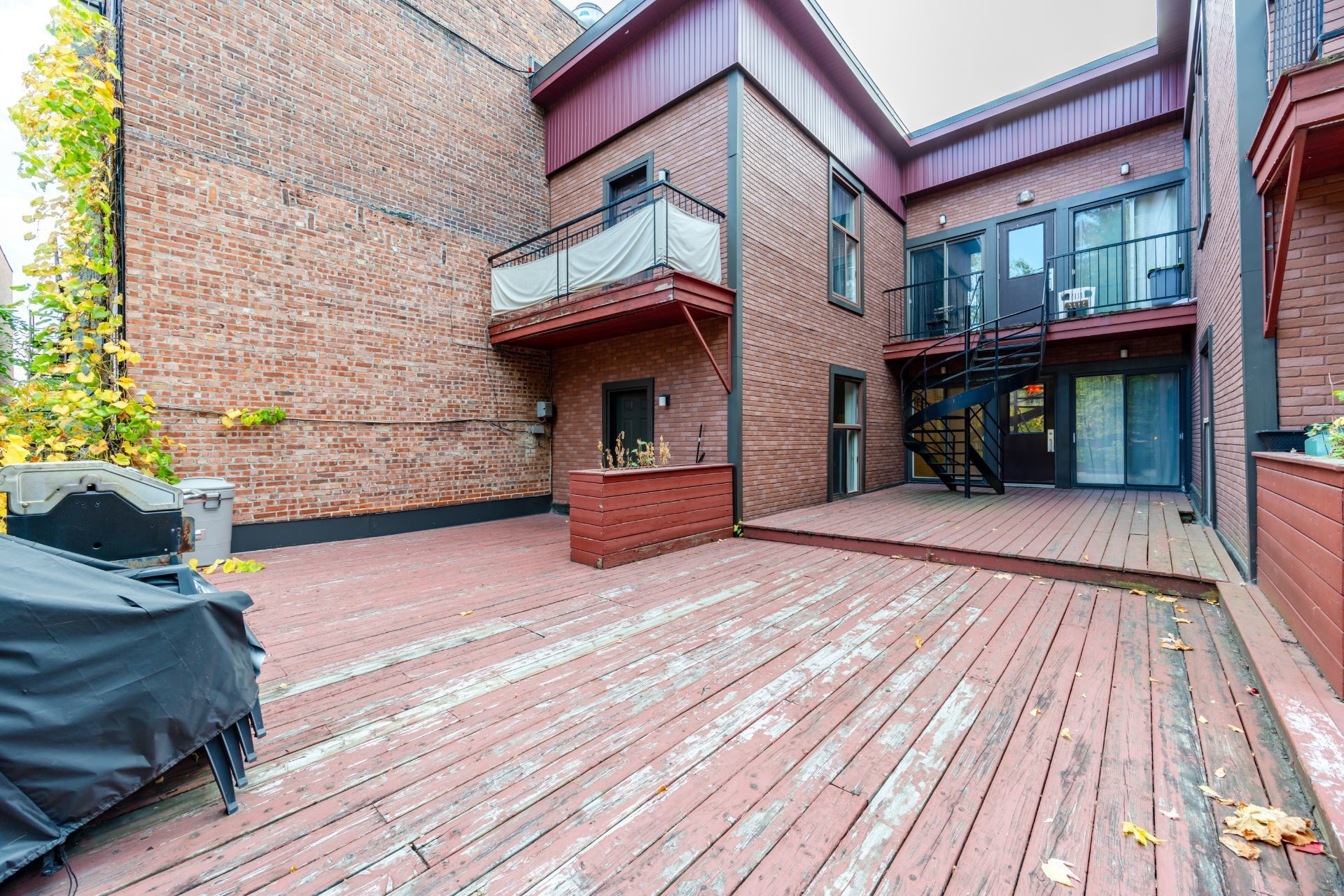 









1319


Rue Ste-Catherine E.

, 3,
Montréal (Ville-Marie),




QC
H2L2H4

