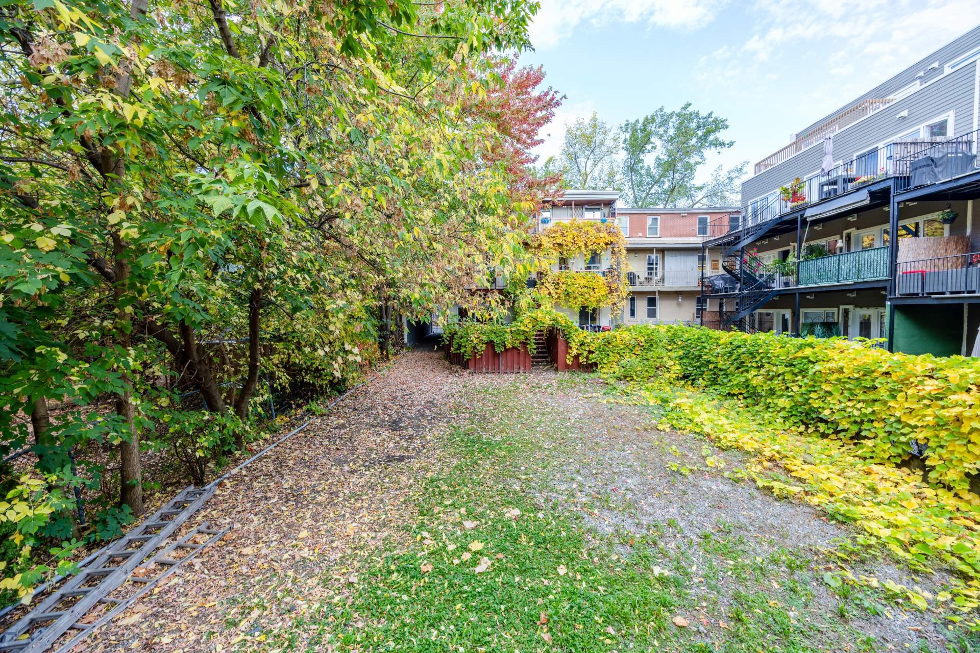 









1319


Rue Ste-Catherine E.

, 3,
Montréal (Ville-Marie),




QC
H2L2H4

