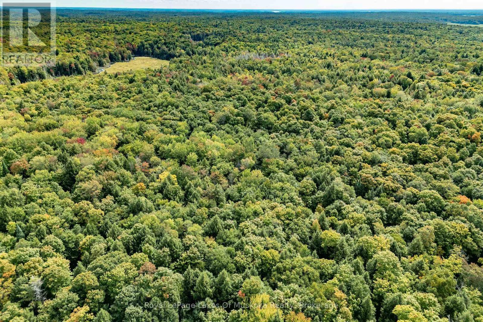 












1419 BEATRICE TOWNLINE ROAD

,
Muskoka Lakes (Monck (Muskoka Lakes)),




Ontario
P1L1X4

