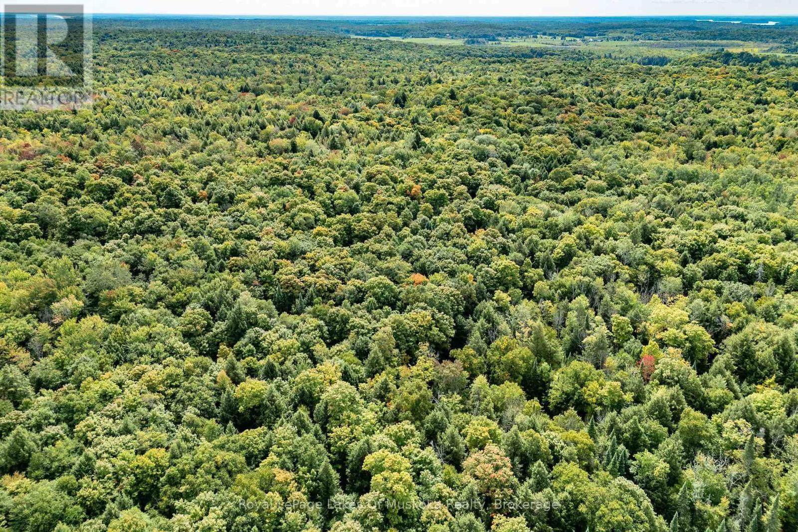 












1419 BEATRICE TOWNLINE ROAD

,
Muskoka Lakes (Monck (Muskoka Lakes)),




Ontario
P1L1X4

