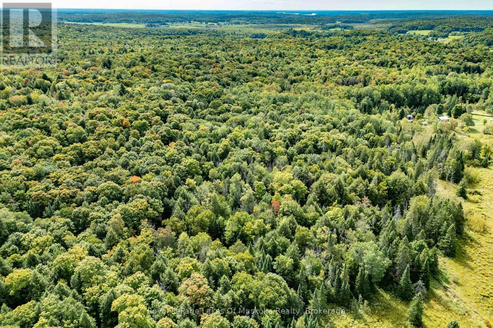 












1419 BEATRICE TOWNLINE ROAD

,
Muskoka Lakes (Monck (Muskoka Lakes)),




Ontario
P1L1X4

