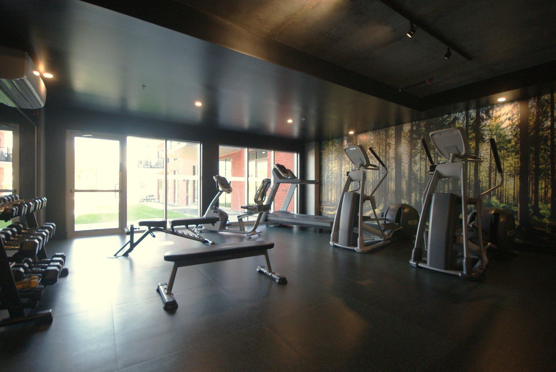 









431


Av. Provost

, 202,
Saint-Jean-sur-Richelieu,




QC
J2X0G2

