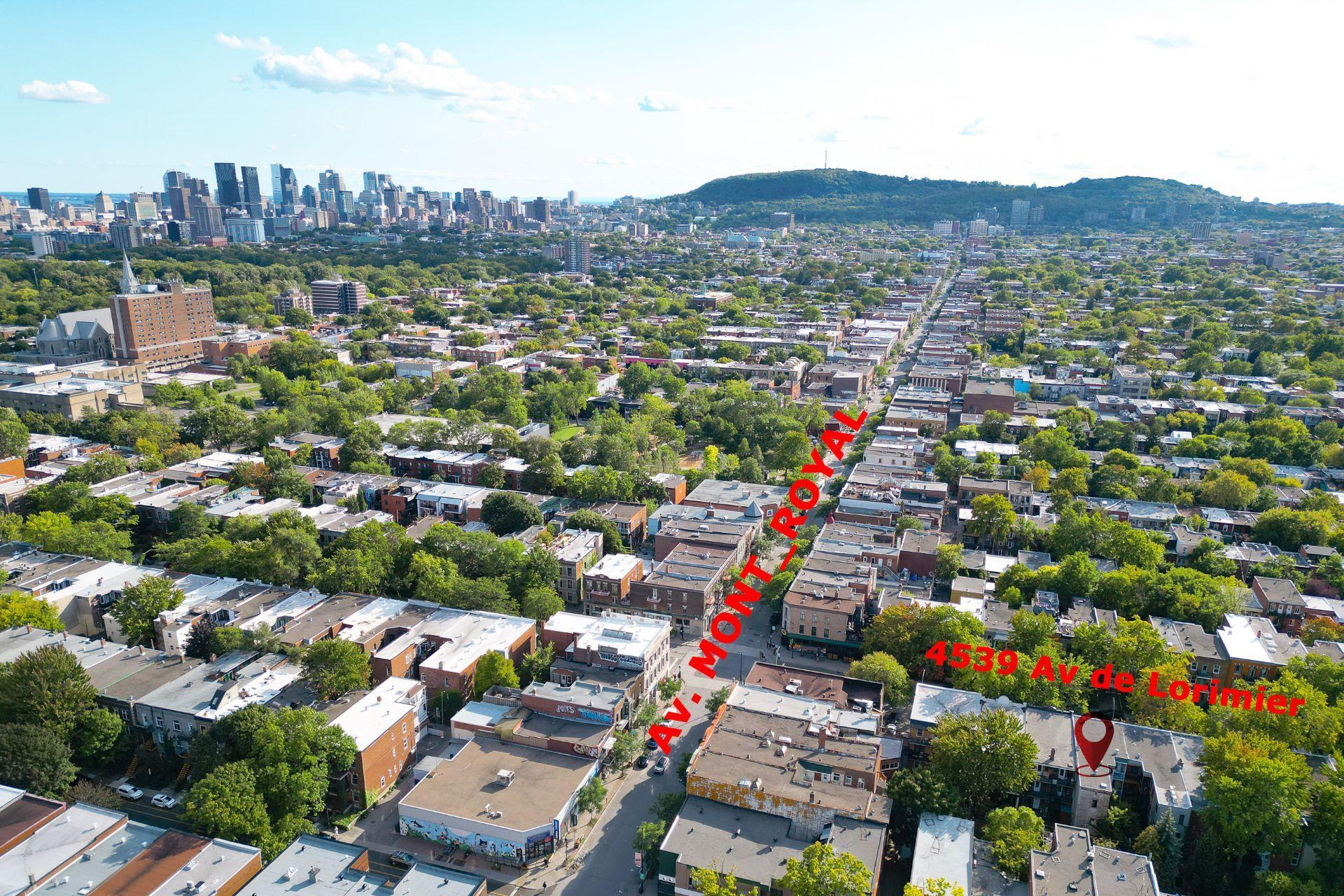 









4539

 - 4543


Av. De Lorimier

,
Montréal (Le Plateau-Mont-Royal),




QC
H2H2B4

