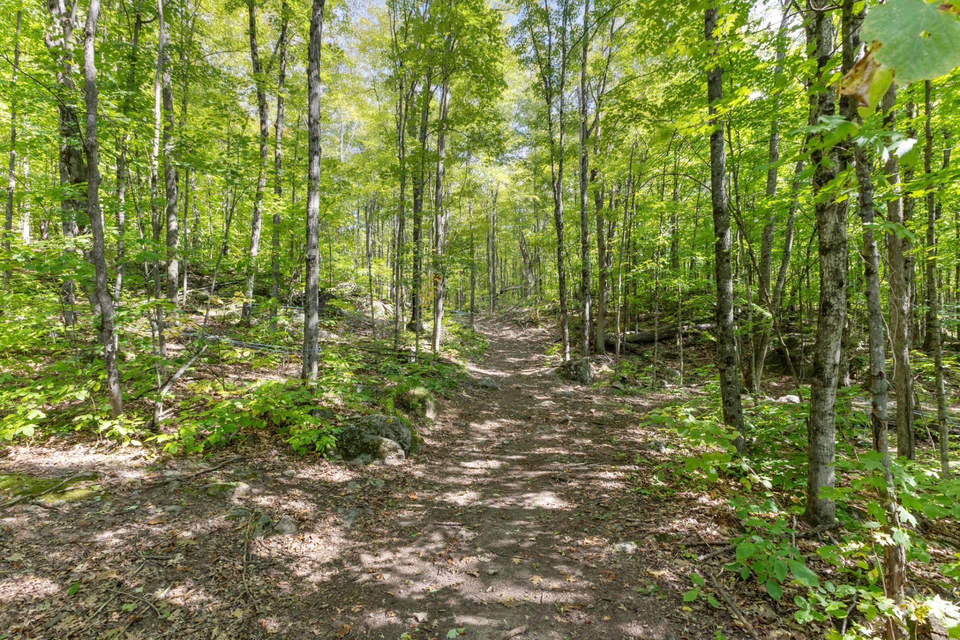 









30


Ch. des Cavernes

,
Cantley,




QC
J8V3H6

