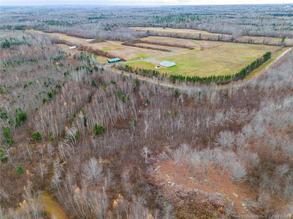 









Lot


Renauds Mills

RD,
Saint-Antoine,







NB
E4V 2X7

