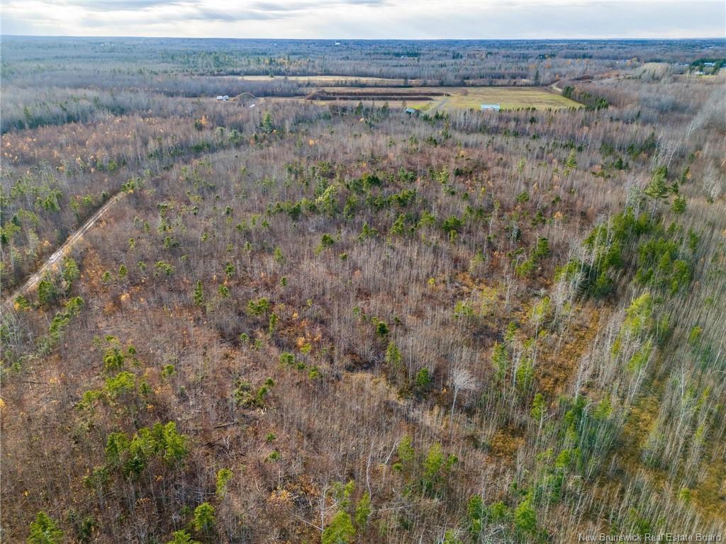 









Lot


Renauds Mills

RD,
Saint-Antoine,







NB
E4V 2X7

