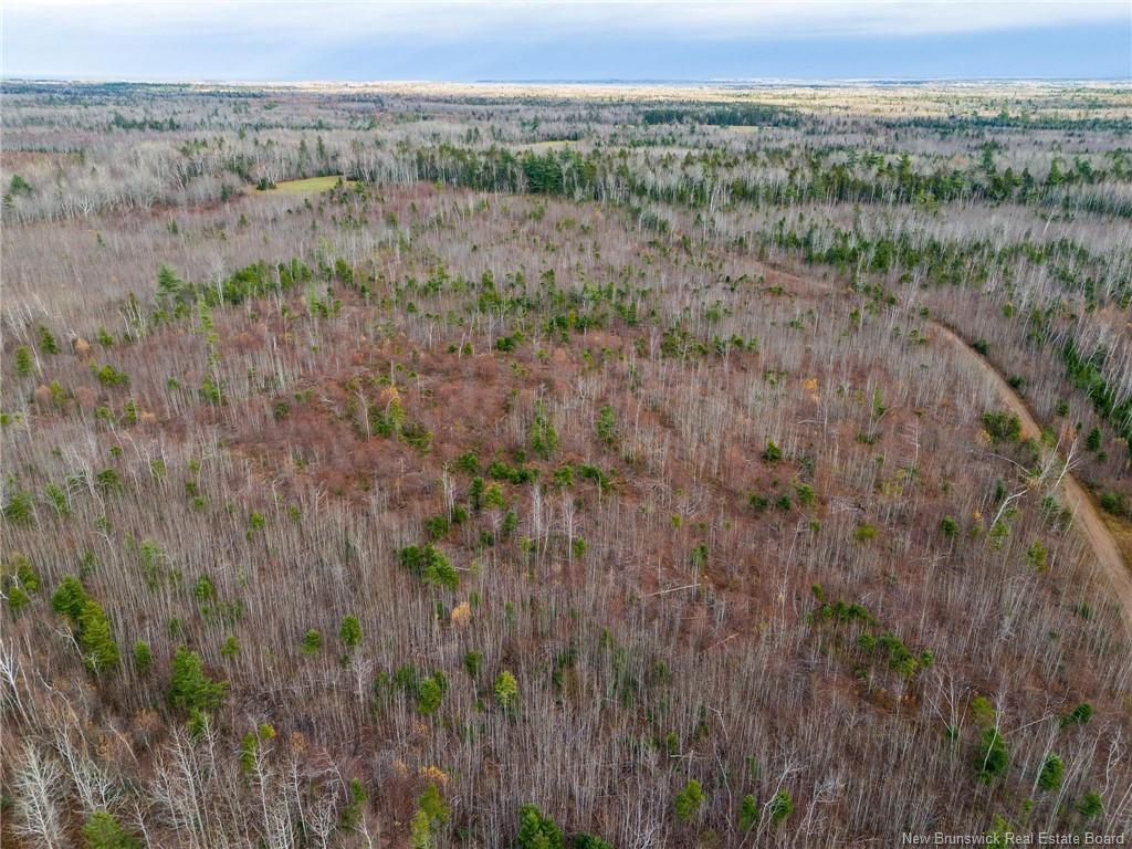 









Lot


Renauds Mills

RD,
Saint-Antoine,







NB
E4V 2X7

