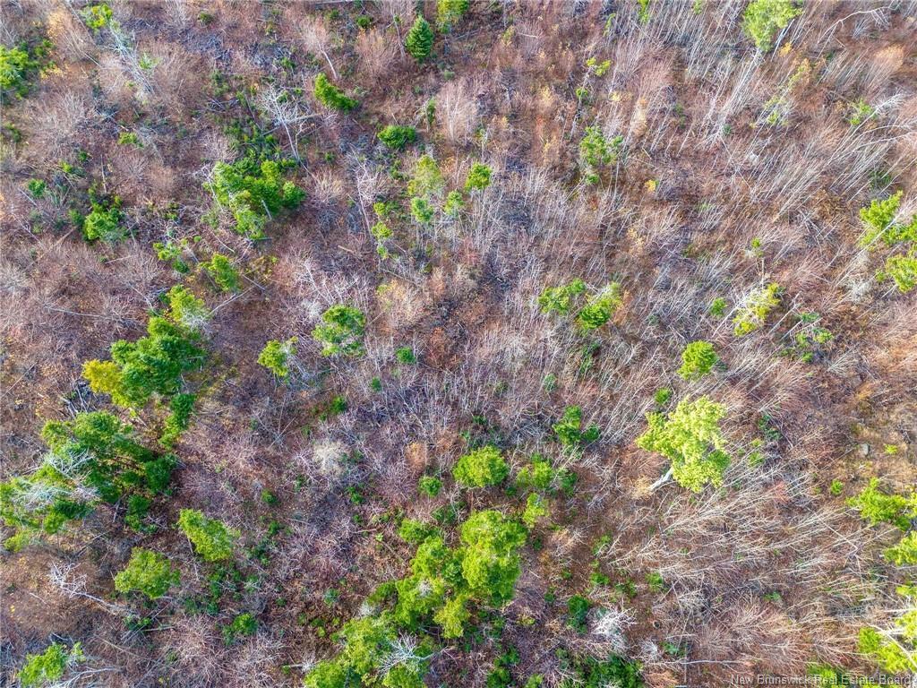 









Lot


Renauds Mills

RD,
Saint-Antoine,







NB
E4V 2X7

