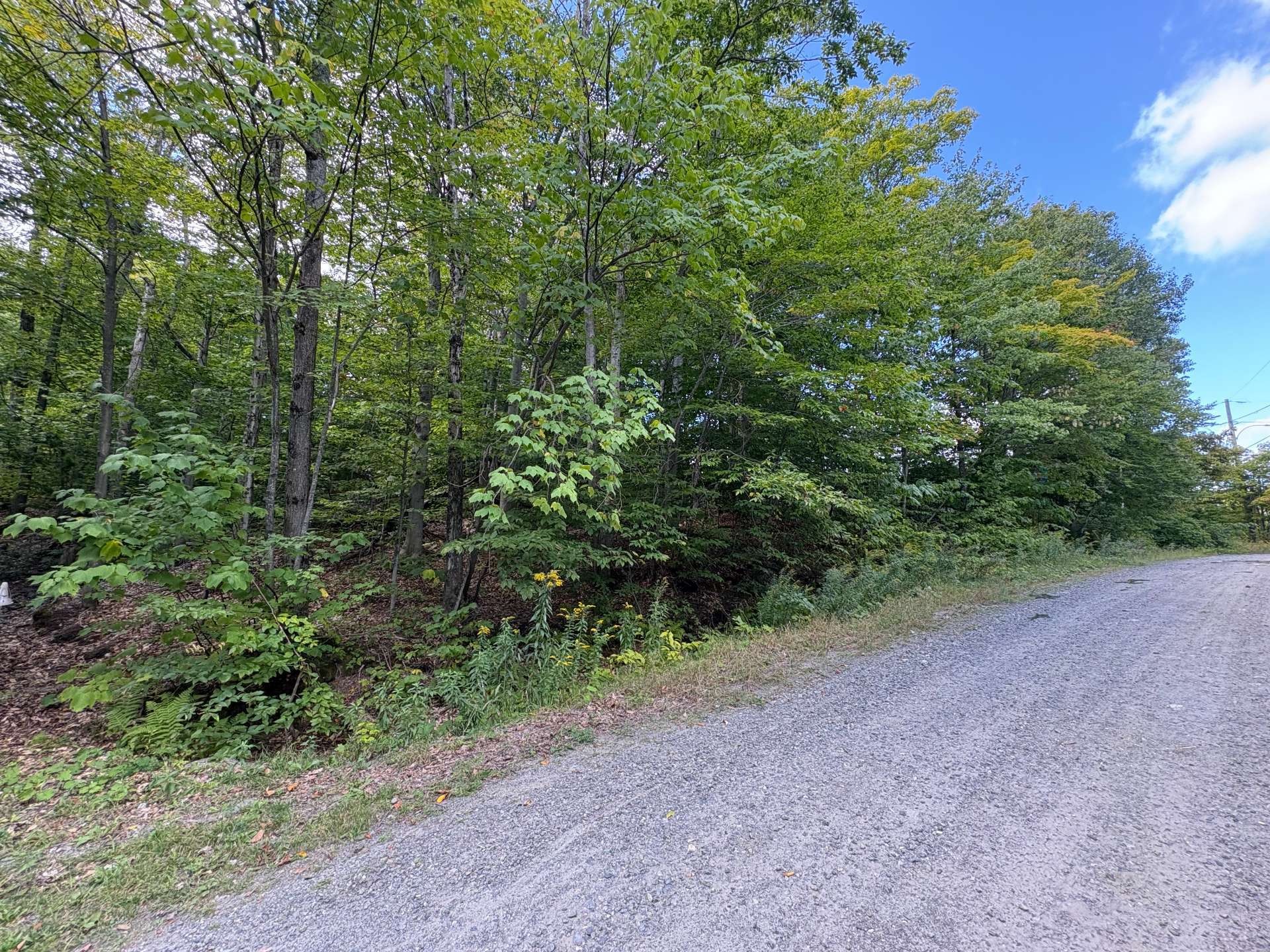 












Rue Vigneault

,
Saint-Calixte,







QC
J0K1Z0

