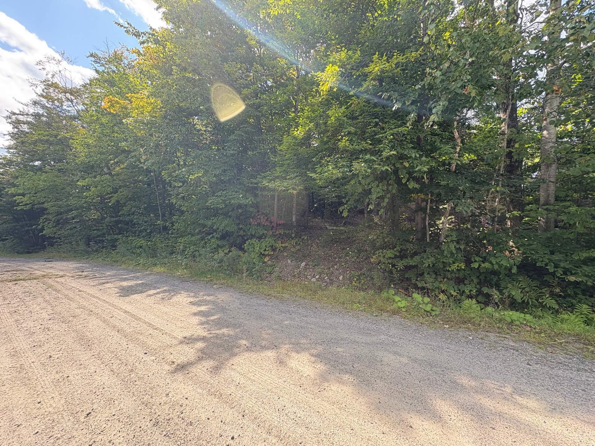 












Rue Vigneault

,
Saint-Calixte,







QC
J0K1Z0

