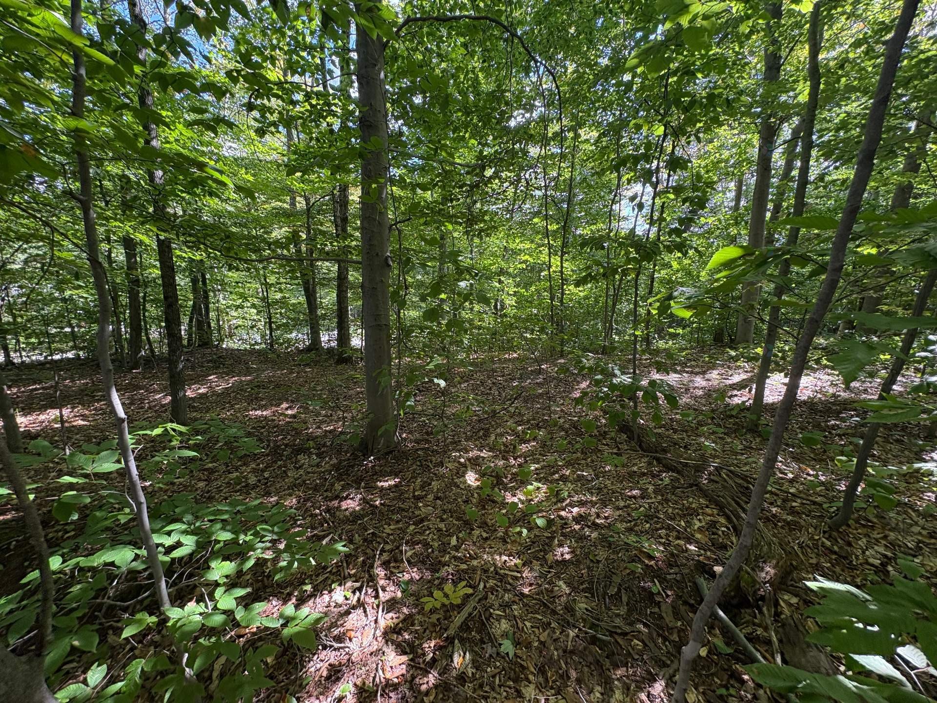 












Rue Vigneault

,
Saint-Calixte,







QC
J0K1Z0

