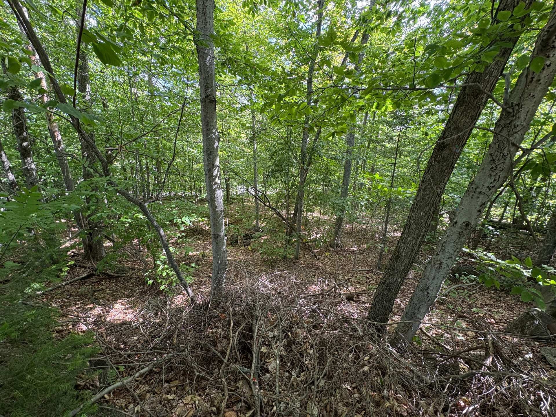 












Rue Vigneault

,
Saint-Calixte,







QC
J0K1Z0

