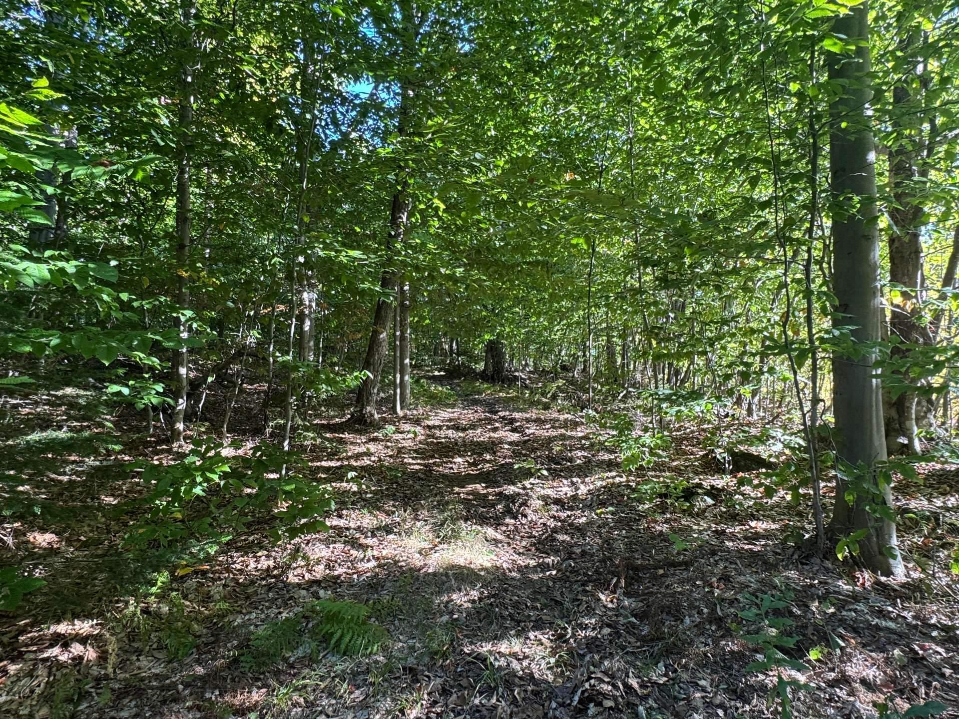 












Route 329

,
Gore,







QC
J0V1K0

