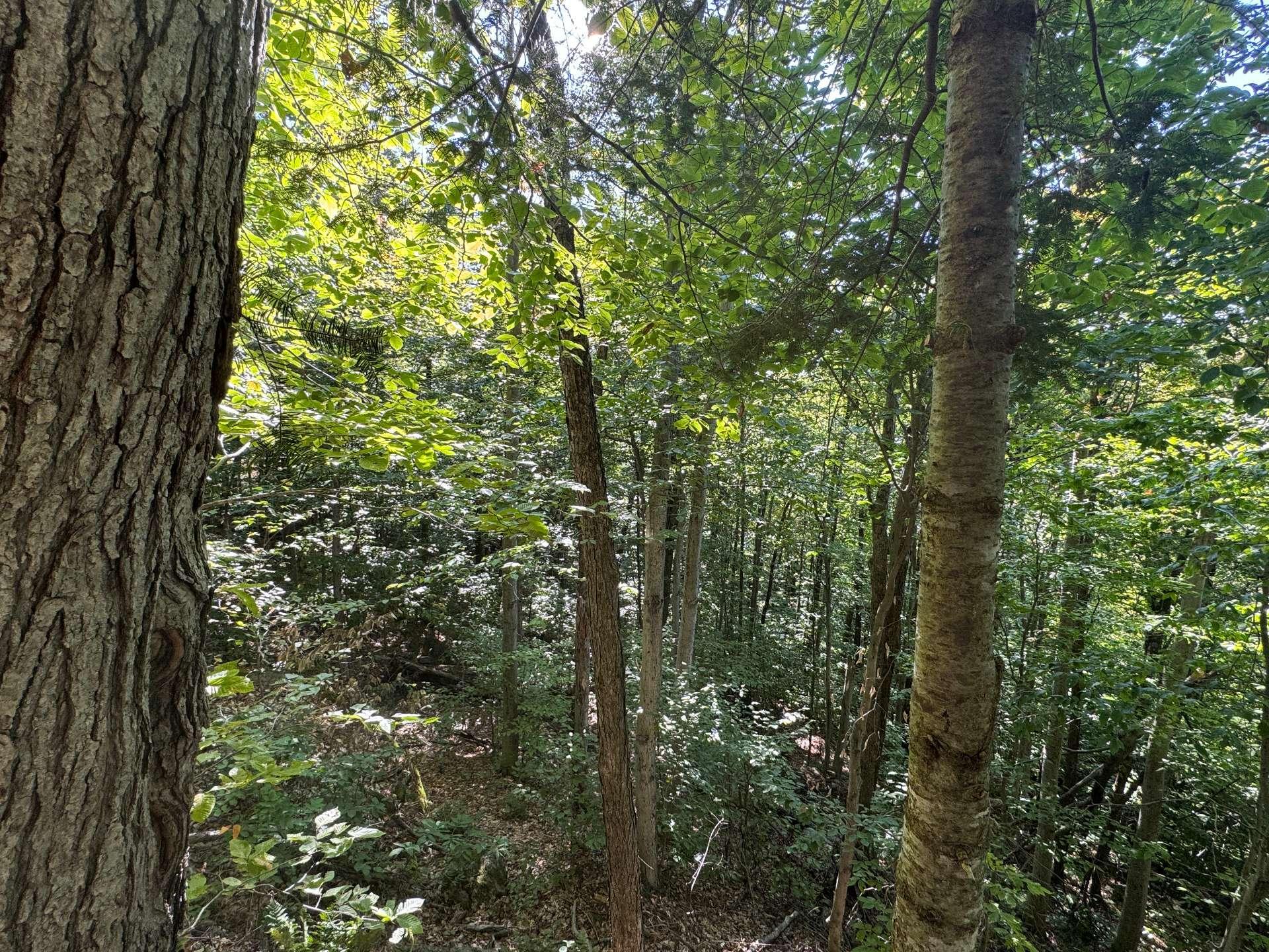 












Route 329

,
Gore,







QC
J0V1K0

