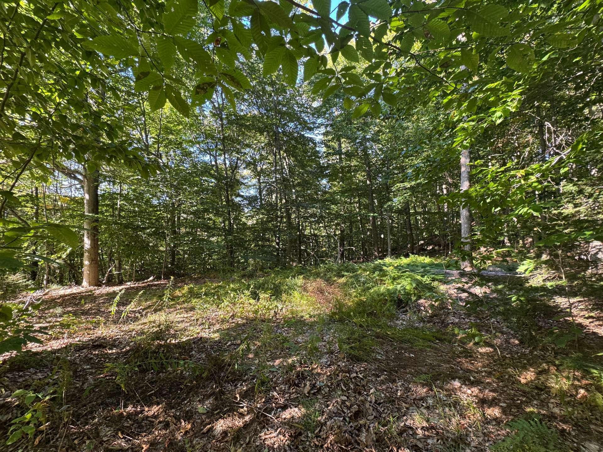 












Route 329

,
Gore,







QC
J0V1K0

