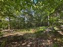 Land/Lot
