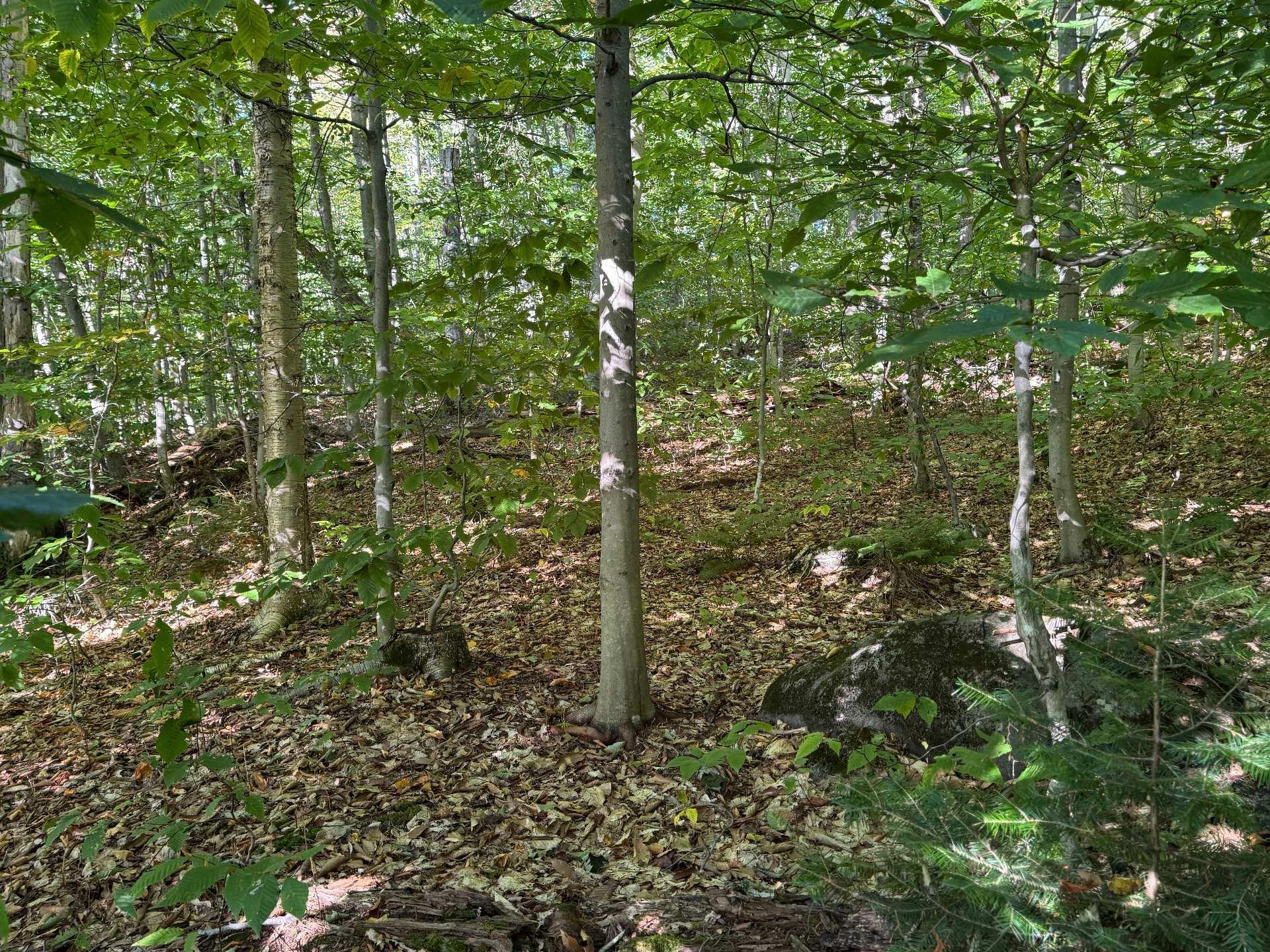 












Route 329

,
Gore,







QC
J0V1K0


