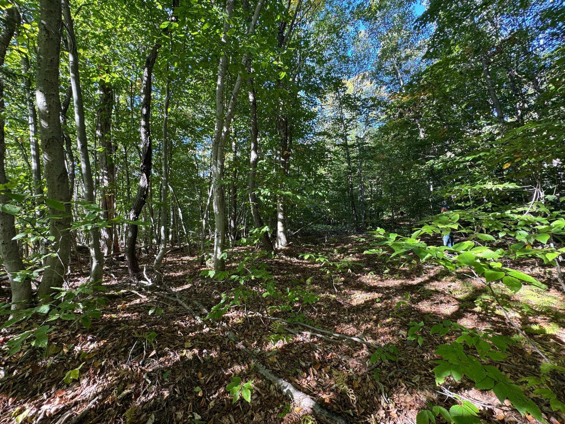 












Route 329

,
Gore,







QC
J0V1K0

