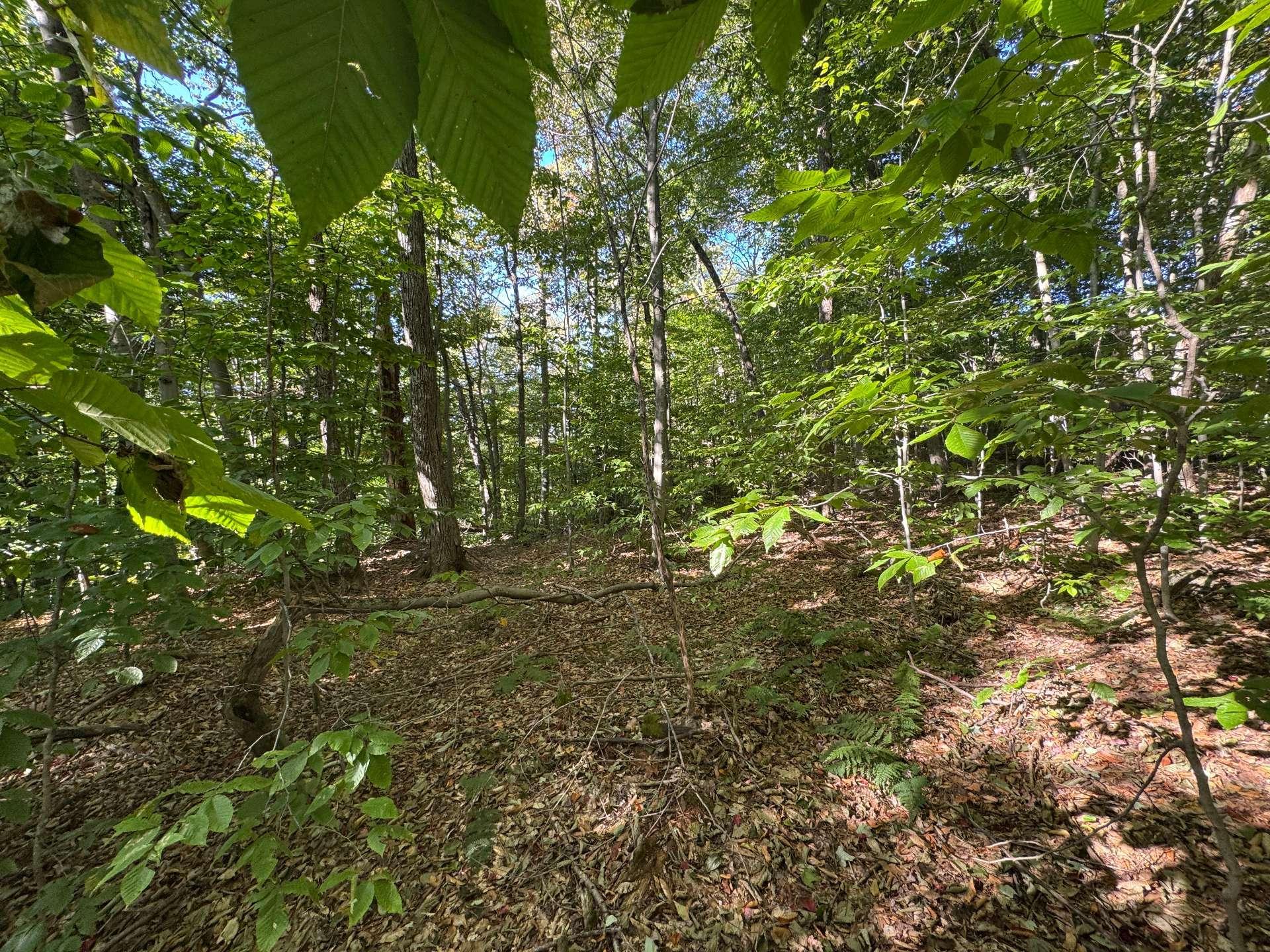 












Route 329

,
Gore,







QC
J0V1K0

