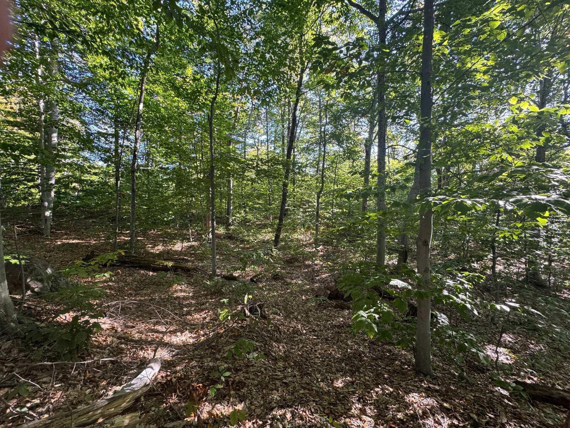 












Route 329

,
Gore,







QC
J0V1K0

