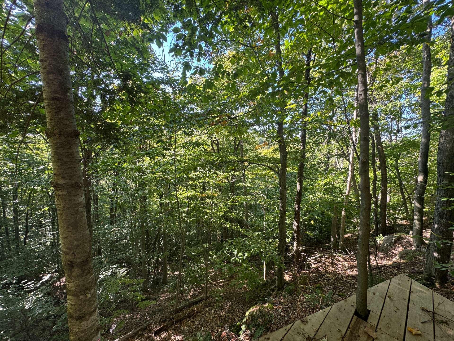 












Route 329

,
Gore,







QC
J0V1K0


