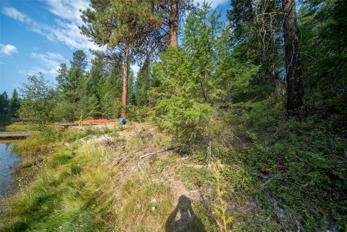 









2870


Rosen Heights

Road,
Jaffray,




BC
V0B 1T0

