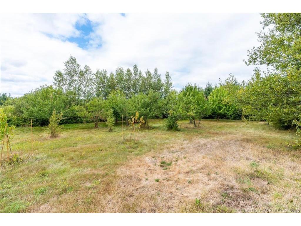 









4235


Route 16

,
Malden,




NB
E4M 2H2

