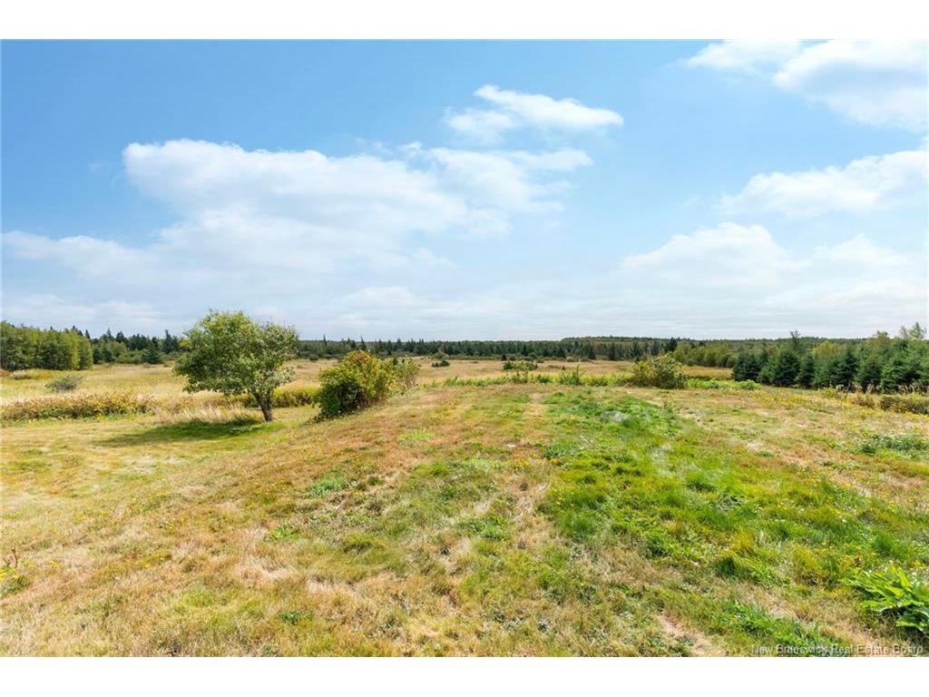 









4235


Route 16

,
Malden,




NB
E4M 2H2

