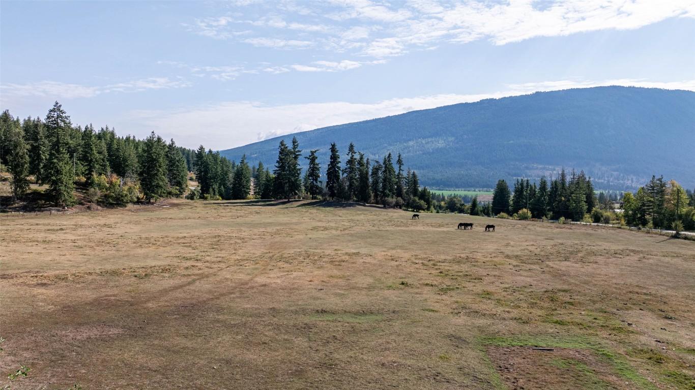 









4210


White Lake

Road,
Tappen,




BC
V0E 2W1

