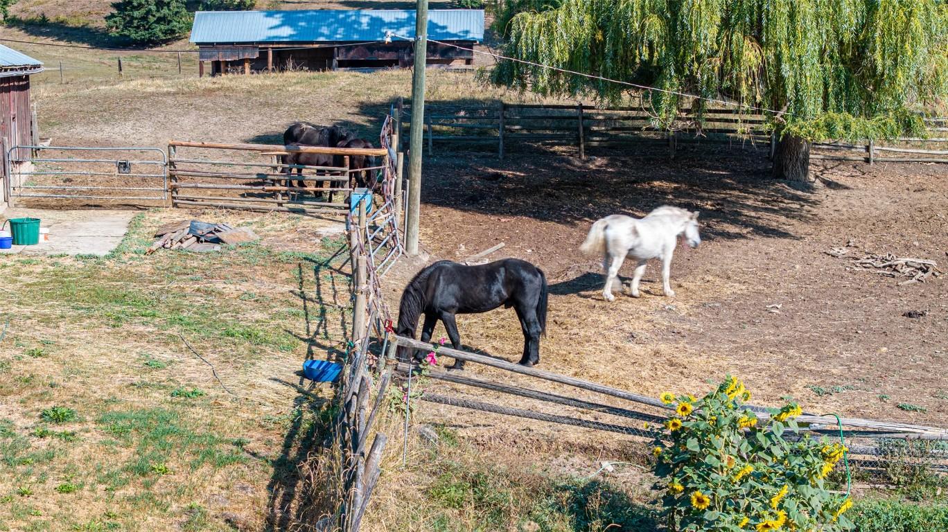 









4210


White Lake

Road,
Tappen,




BC
V0E 2W1

