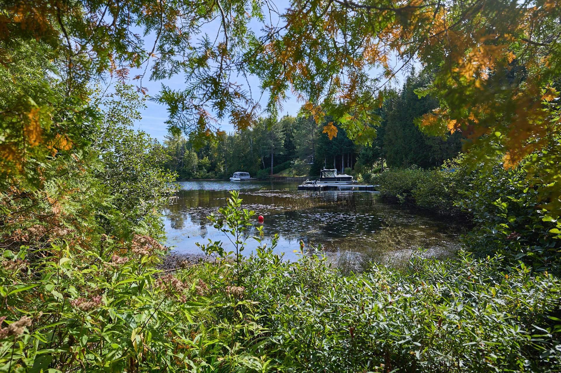 









51


Ch. Favreau

,
Saint-Donat,




QC
J0T2C0

