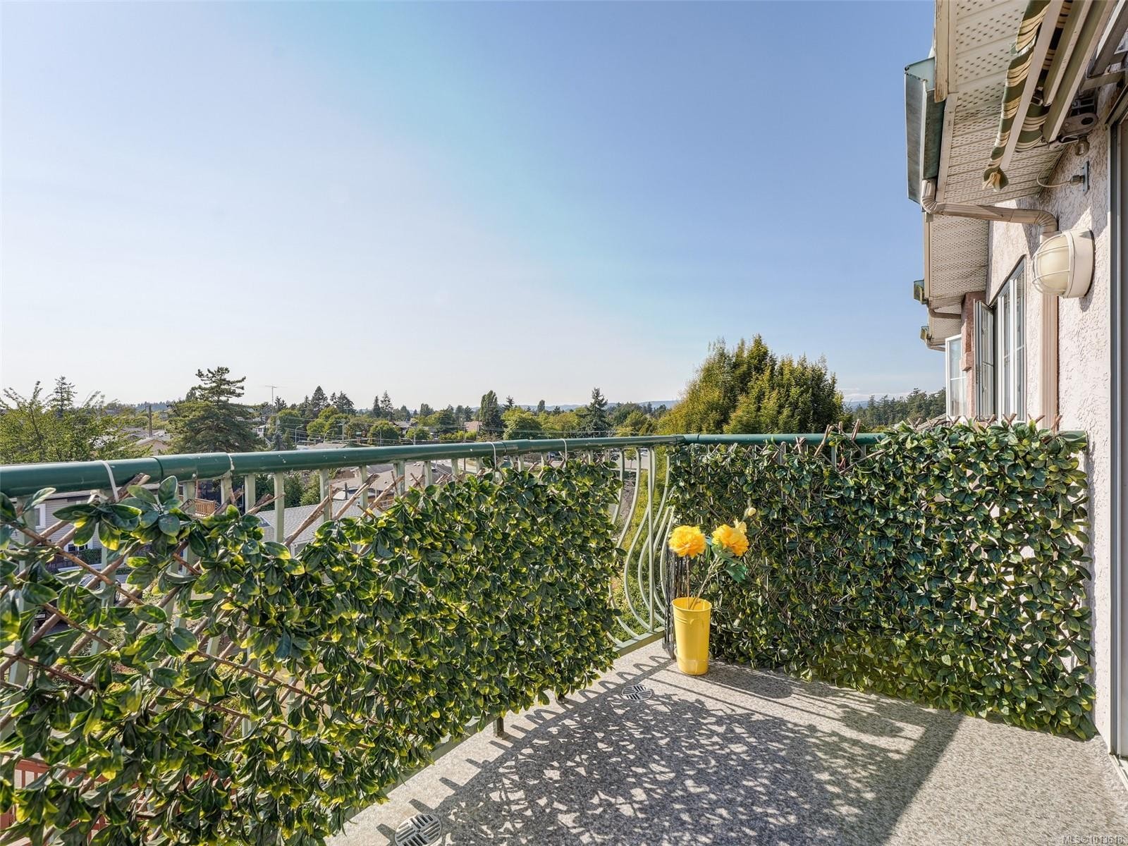 









3133


Tillicum

Rd, 413,
Saanich,




BC
V9A 2B4

