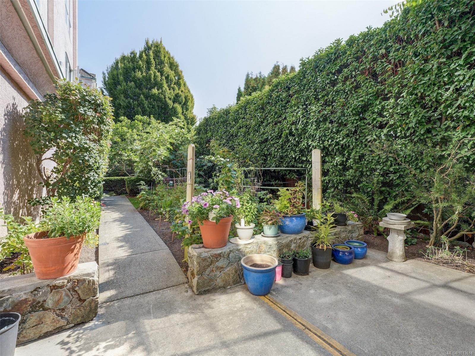 









3133


Tillicum

Rd, 413,
Saanich,




BC
V9A 2B4

