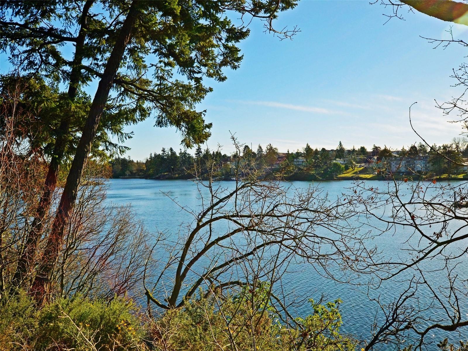 









3133


Tillicum

Rd, 413,
Saanich,




BC
V9A 2B4

