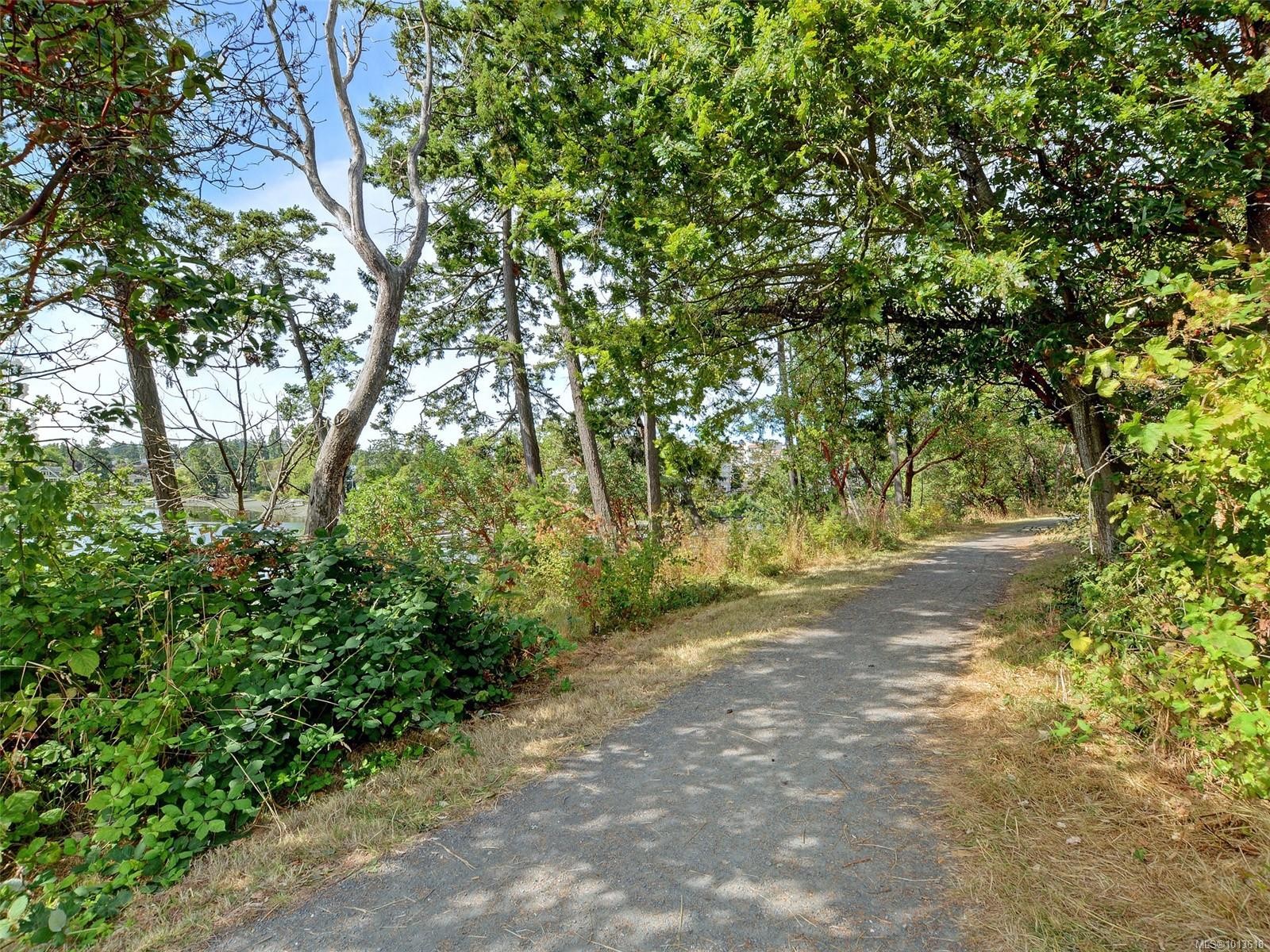 









3133


Tillicum

Rd, 413,
Saanich,




BC
V9A 2B4

