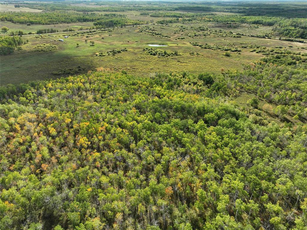 












14039 103NE Road

,
Armstrong,







Manitoba
R0C1P0

