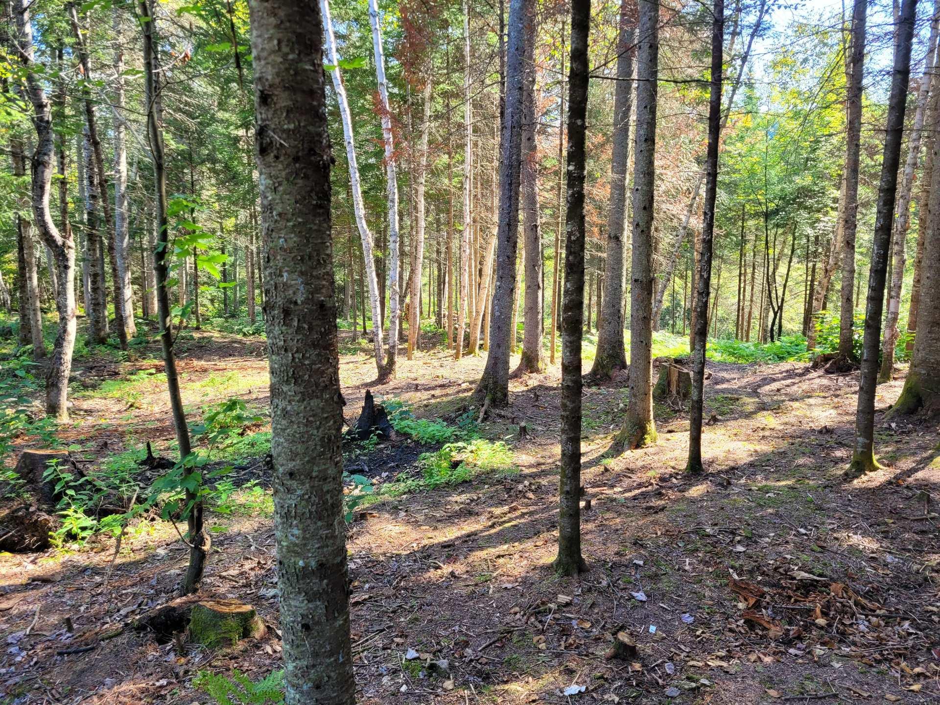 












Rue Lise

,
Saint-Côme,







QC
J0K2B0

