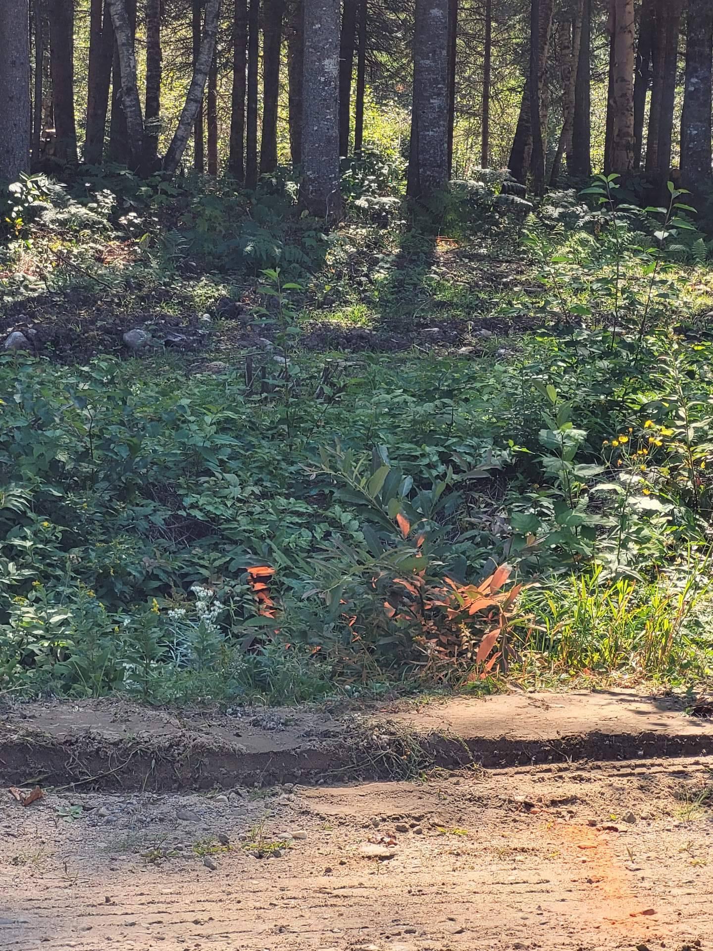 












Rue Lise

,
Saint-Côme,







QC
J0K2B0

