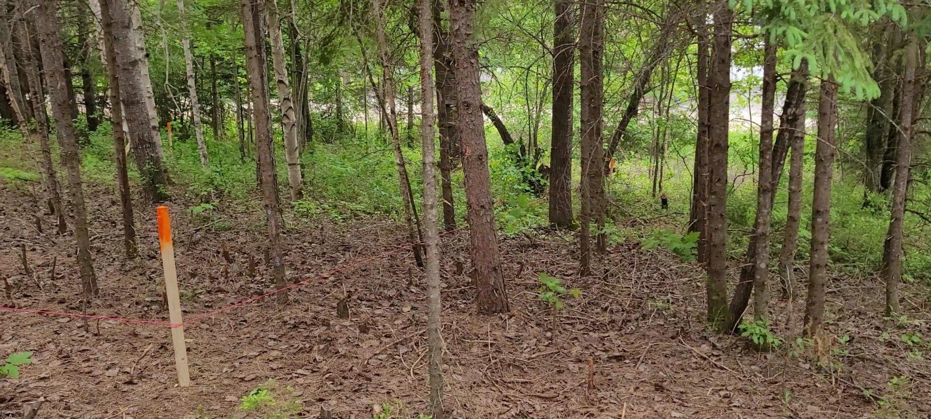 












51e Avenue

,
Saint-Côme,







QC
J0K2B0

