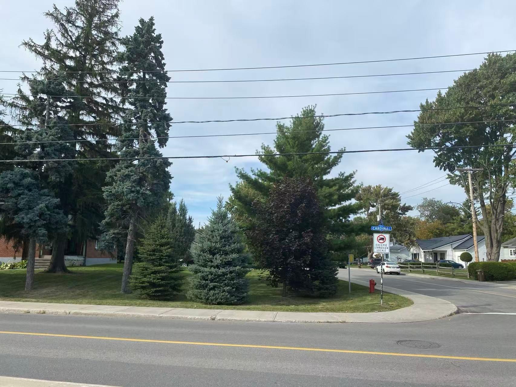 









502


Boul. Graham

,
Dorval,




QC
H9P2B3

