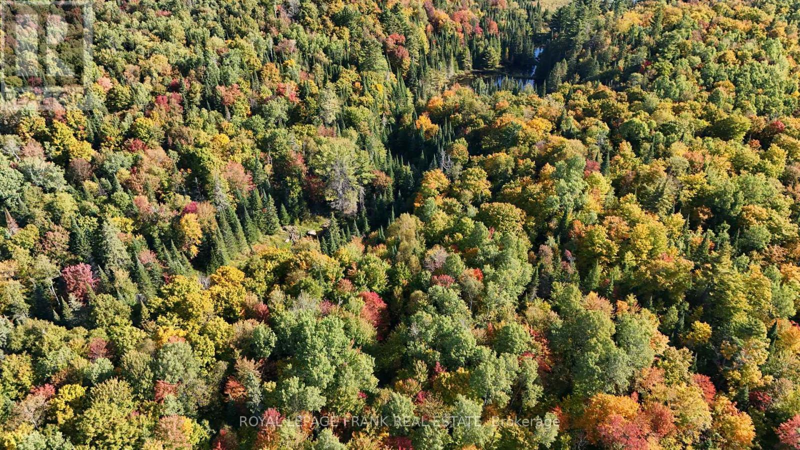 












0 PETERSON ROAD

,
Hastings Highlands (Herschel Ward),







Ontario
K0L2S0

