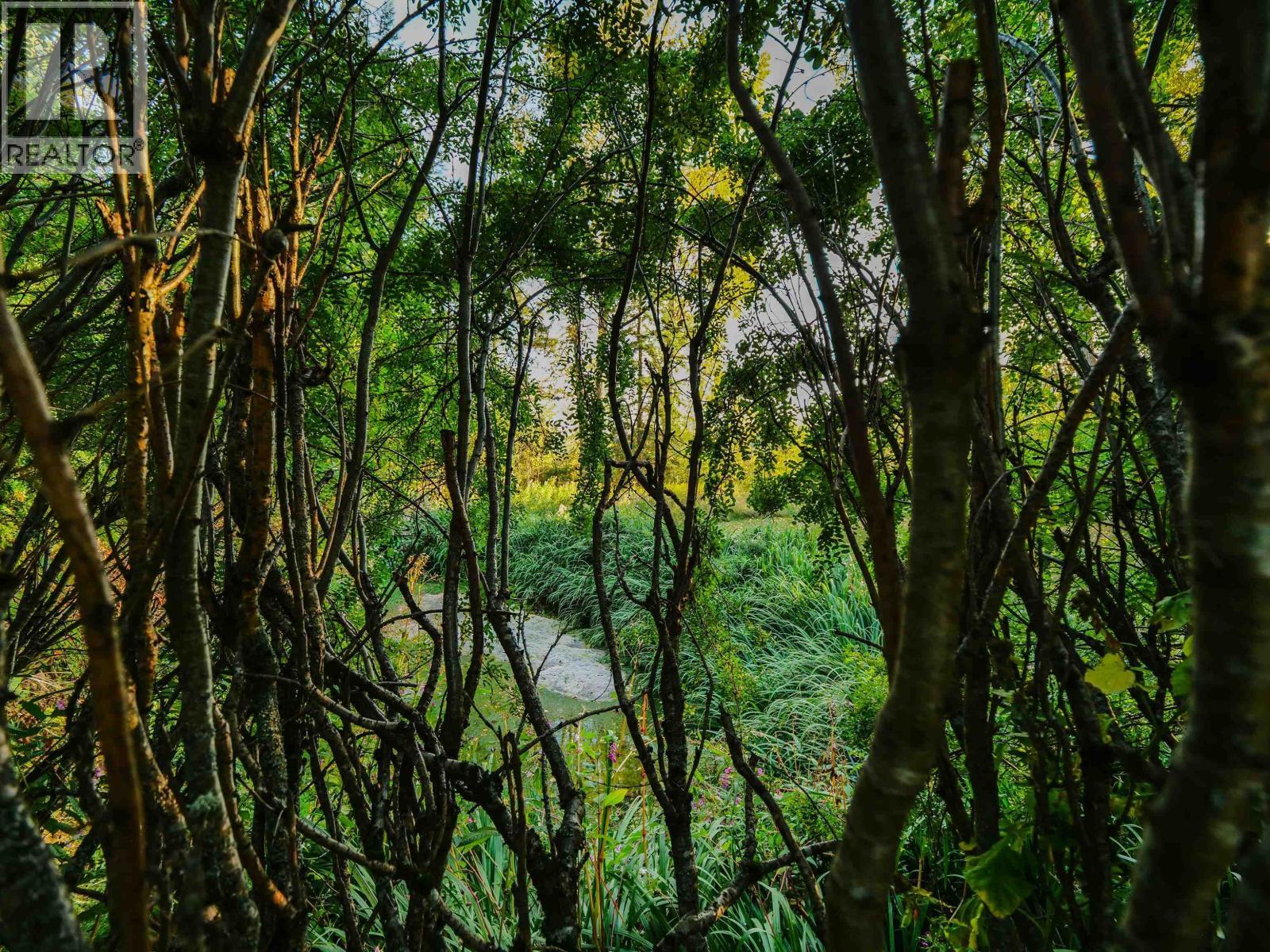 












793 WALKEM STREET

,
Quesnel,




British Columbia
V2J2J8

