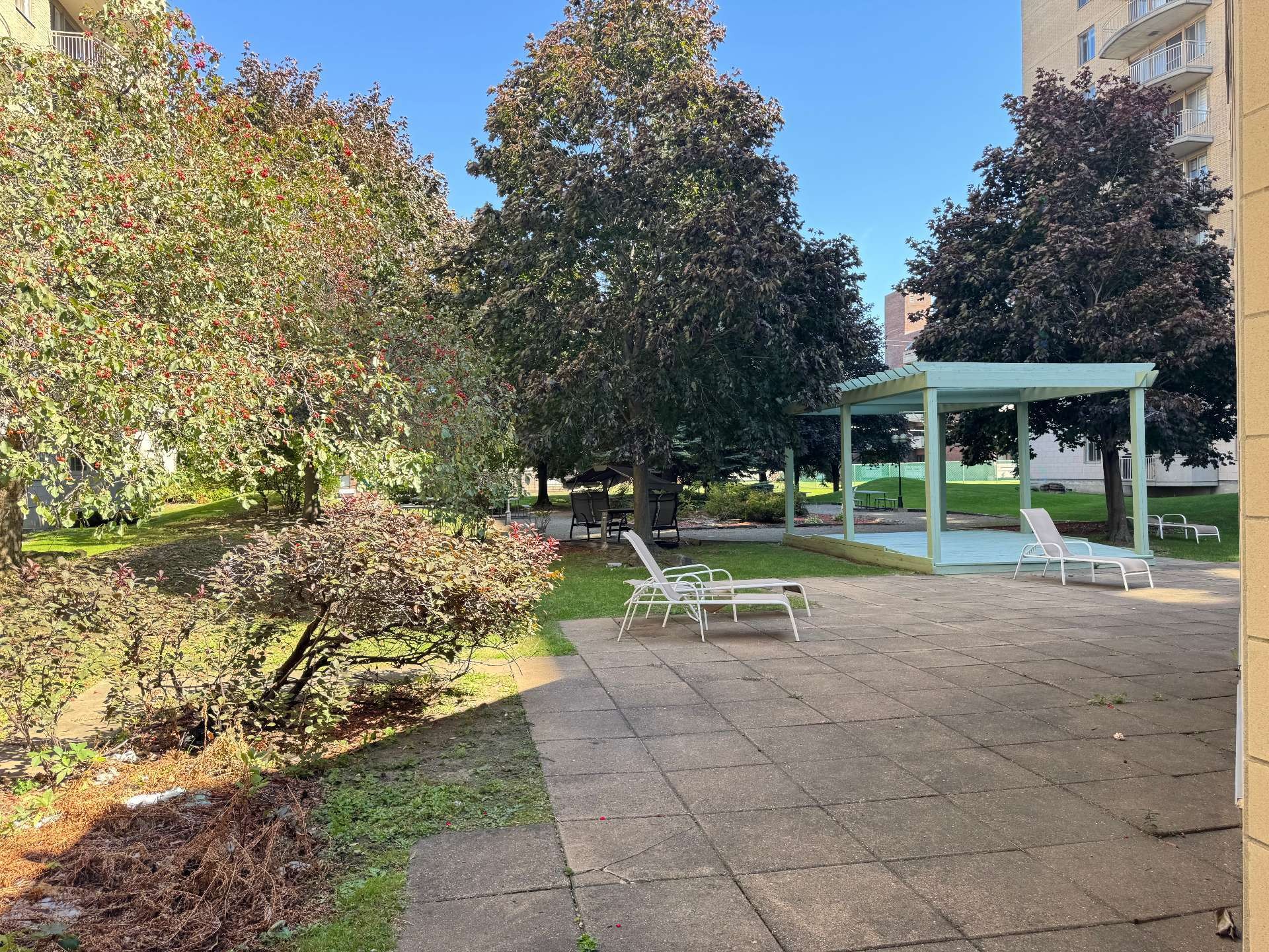 









11115


Boul. Cavendish

, 202,
Montréal (Saint-Laurent),




QC
H4R2M9

