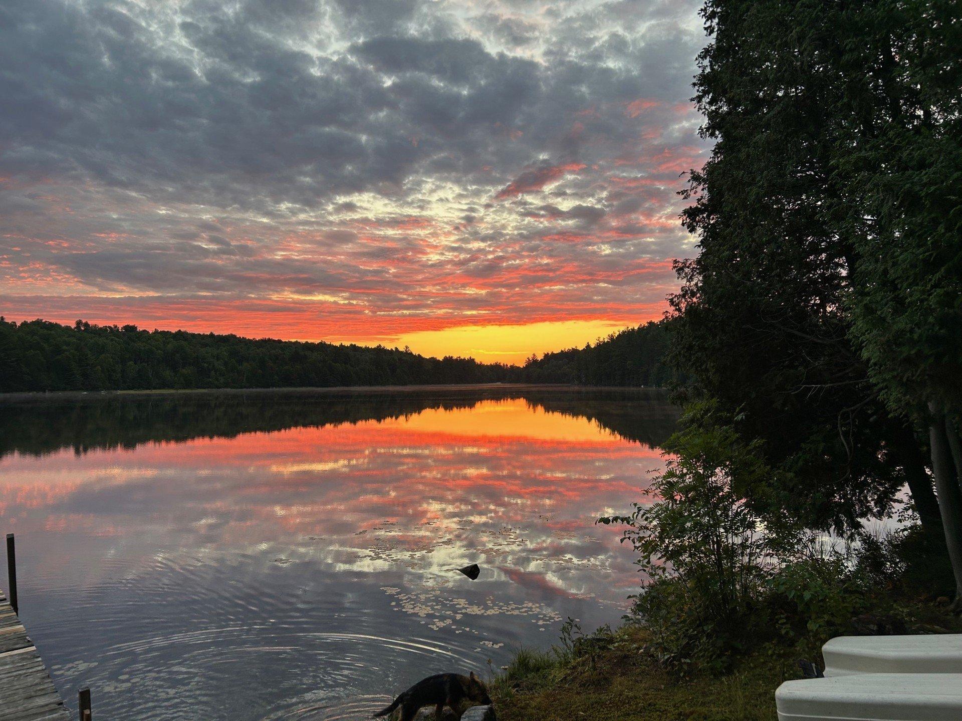 









75


Ch. Hervé-Pigeon

,
Kipawa,




QC
J0Z2H0

