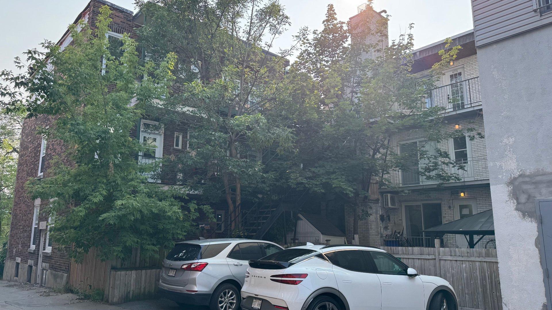 









591

 - 599


Rue Sicard

,
Montréal (Mercier/Hochelaga-Maisonneuve),




QC
H1V2X3

