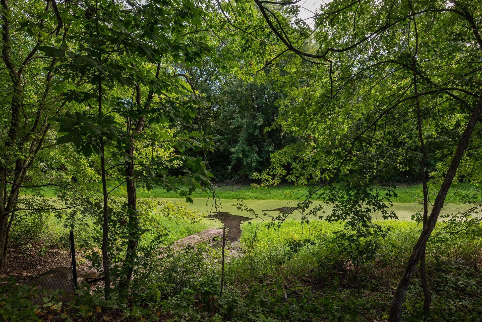 









136


Rue Jean-De Ronceray

,
Carignan,




QC
J3L6L8

