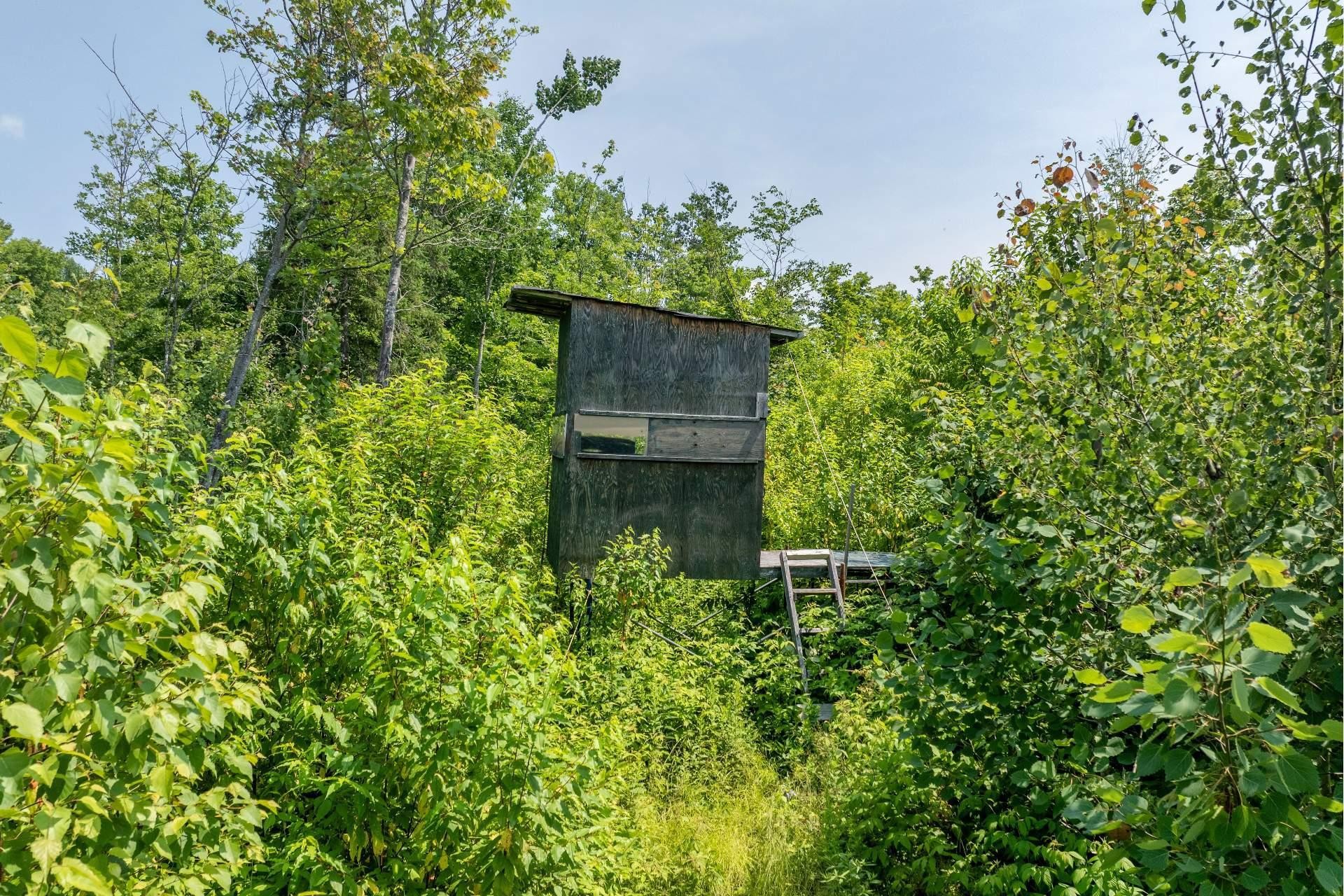 












Ch. des Quatre-Fourches

,
Lac-des-Écorces,







QC
J0W1H0

