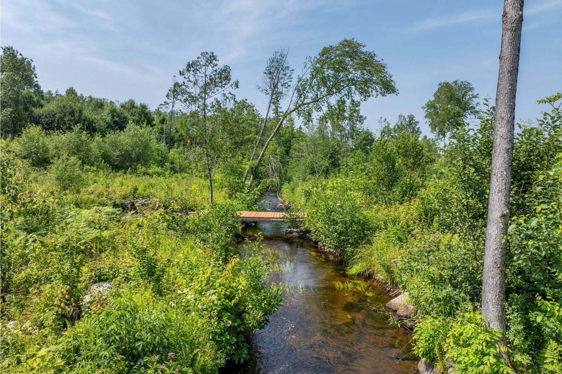 












Ch. des Quatre-Fourches

,
Lac-des-Écorces,







QC
J0W1H0


